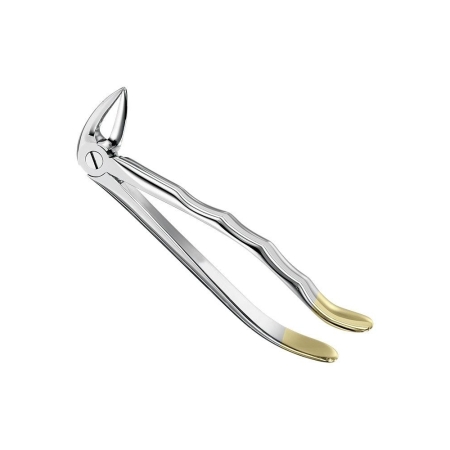 Extracting forceps, anat.